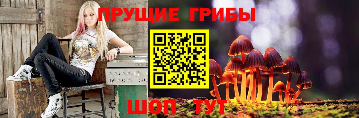Дагестанские Огни  Псилоцибиновые грибы Psilocybe  Вход с VPN 