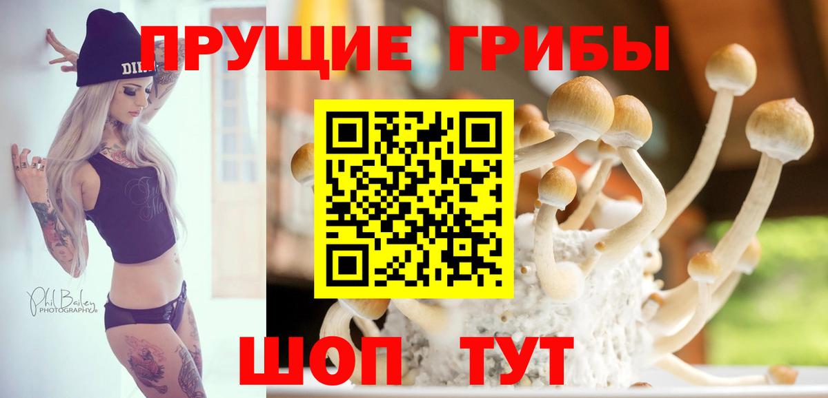 Галлюциногенные грибы Psilocybe Дагестанские Огни